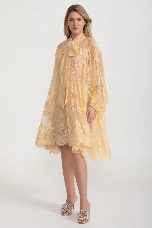 A-Line Lace Dress with Bow Tie Neck – Khaki
